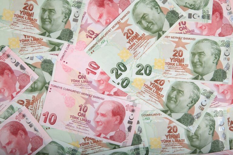 Les traders turcs se tournent vers le Bitcoin après la chute de la valeur de la lire