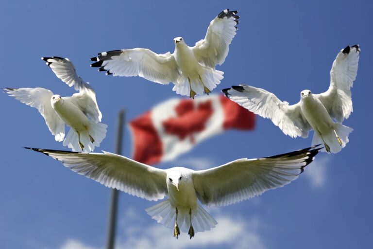 Une fiducie canadienne de Bitcoin réglementée obtient le statut de fonds commun de placement
