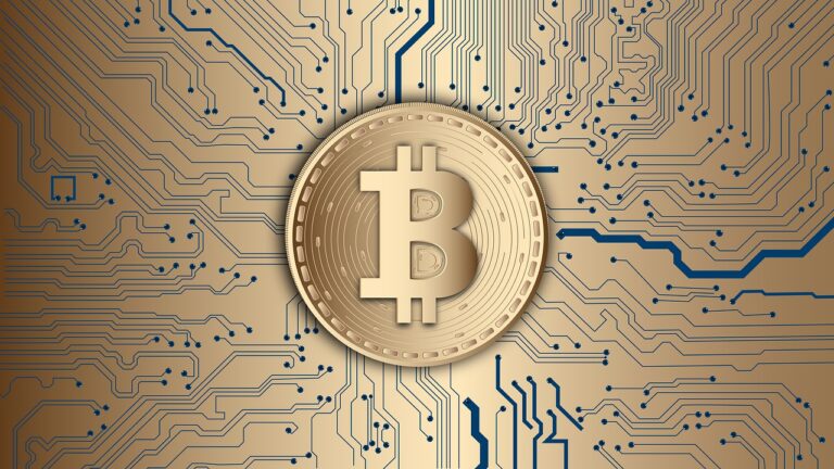 Uyen T Nguyen : la jeune femme derrière la prétendue affaire Satoshi