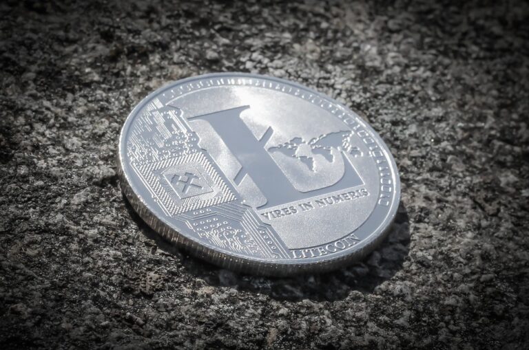 Les investisseurs sont en désaccord avec le Litecoin
