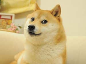 Une nouvelle fin d'année 2020 pour le Dogecoin : mythe ou réalité ?