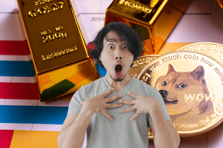 Le Shiba Inu atteint des sommets : cette progression de 209 % des transactions sur Shibarium