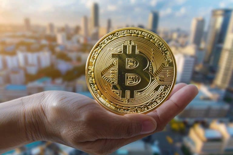 Bitcoin : une domination incontestable en 2024 malgré la volatilité et les défis du marché